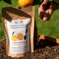 Engrais Spécial Agrumes et Oliviers