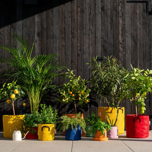 Pot de plantation en géotextile respirant