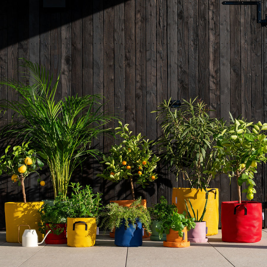 Pot de plantation en géotextile respirant