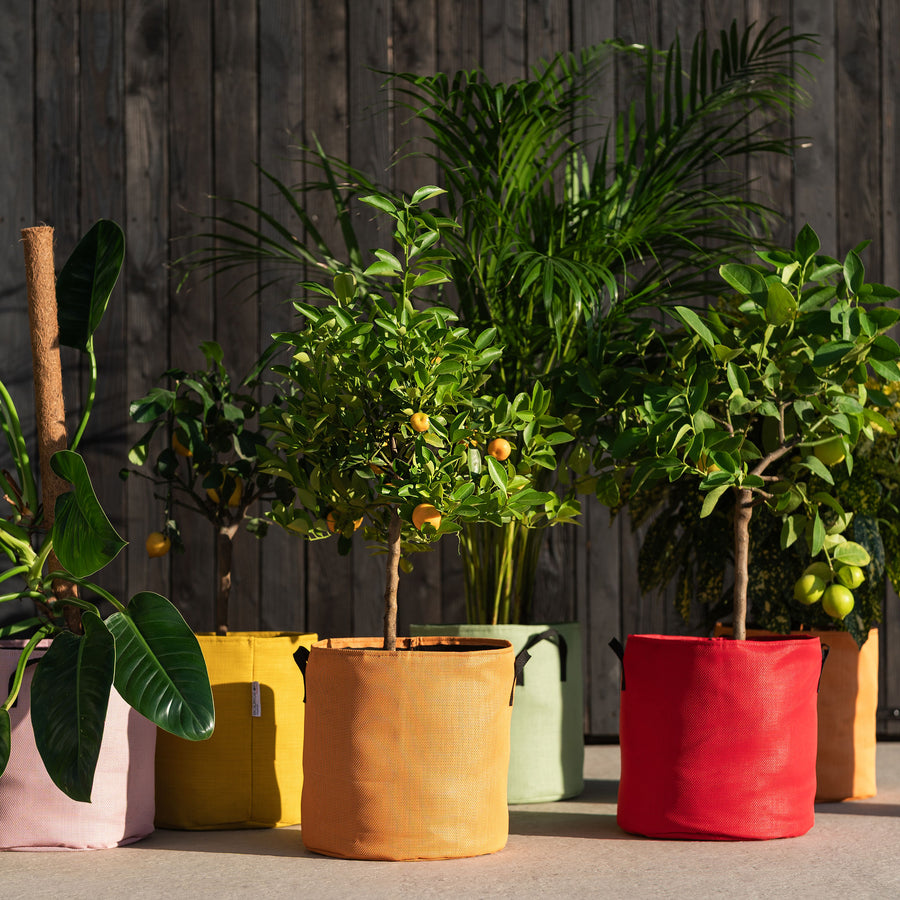 Pot de plantation en géotextile respirant