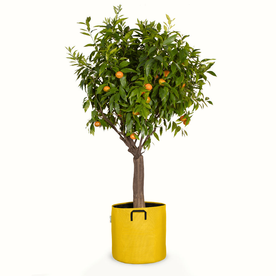 Pot de plantation en géotextile respirant