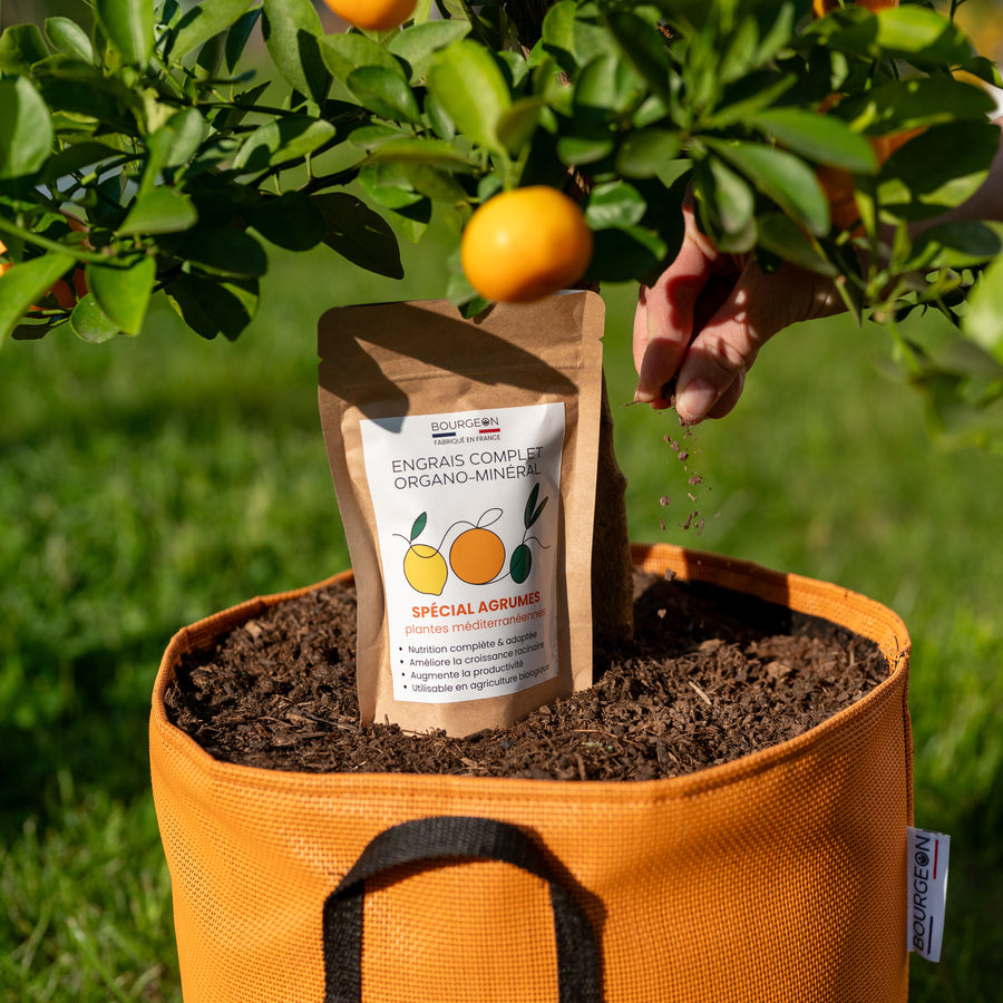 Engrais naturel complet - Spécial Agrumes, oliviers et palmiers 🍋