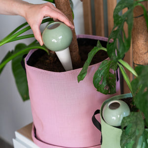 Ollas à planter