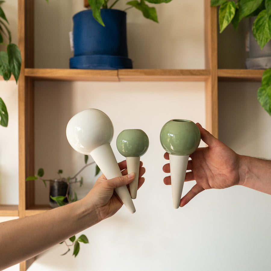 Ollas à planter