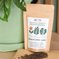 Engrais Spécial Plantes vertes