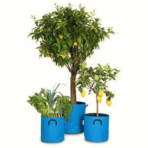 Pack pour grandes plantes 🍊