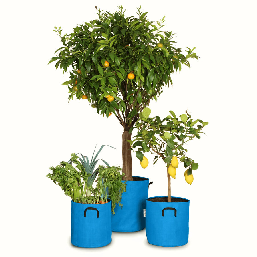 Pack pour grandes plantes 🍊