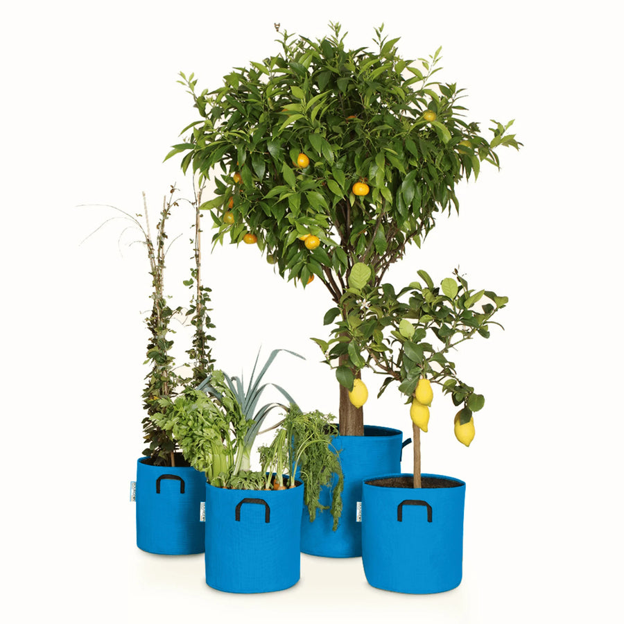 Pack pour grandes plantes 🍊