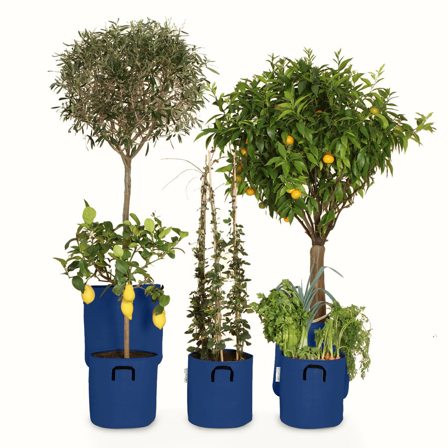 Pack pour grandes plantes 🍊