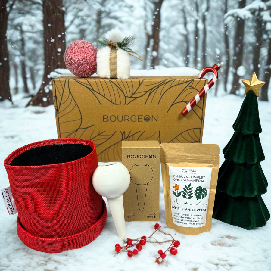 Edition limitée : Coffret de Noël