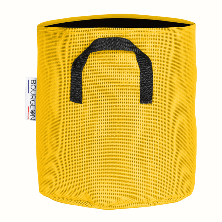 Jaune