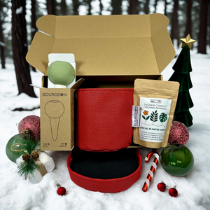 Edition limitée : Coffret de Noël