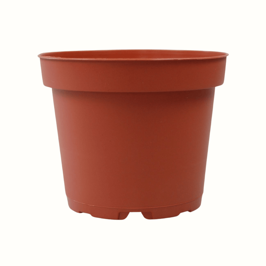 Pot en plastique
