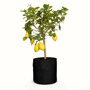 Pot de plantation en géotextile respirant