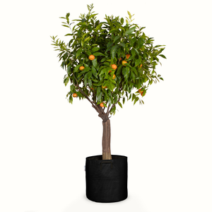 Pot de plantation en géotextile respirant