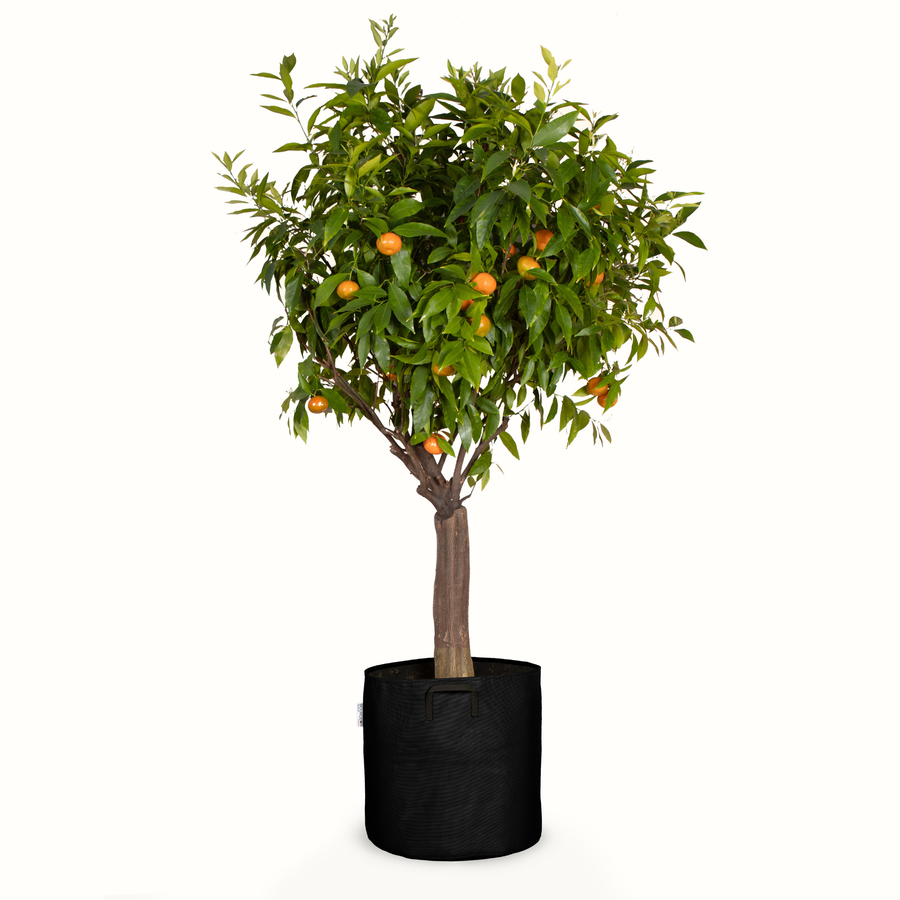 Pot de plantation en géotextile respirant