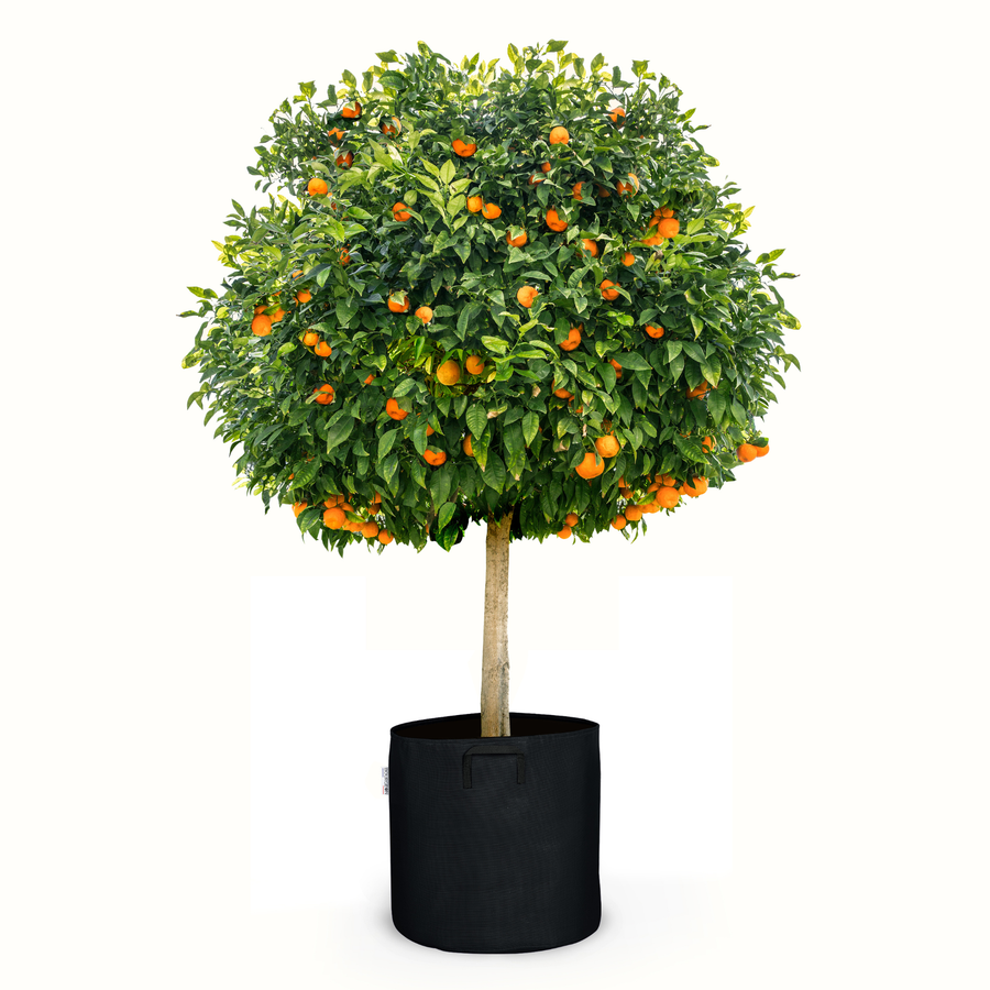 Pot de plantation en géotextile respirant