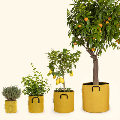 Je compose mon potager sur-mesure 👩‍🌾