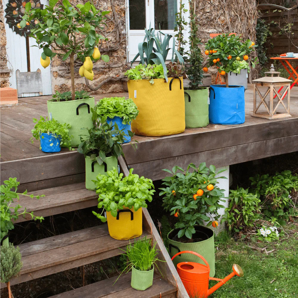 Je compose mon potager sur-mesure 👩‍🌾