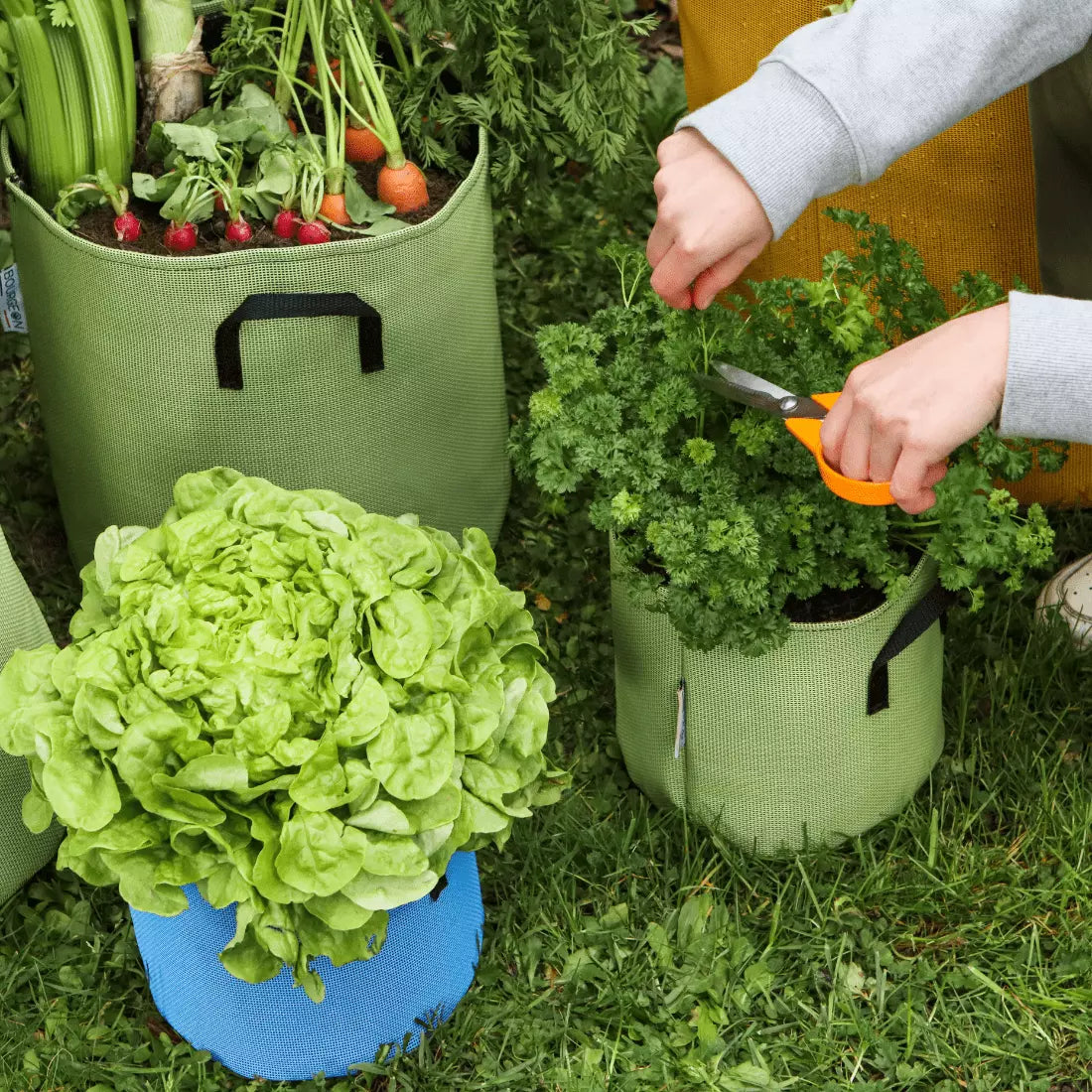 Je compose mon potager sur-mesure 👩‍🌾